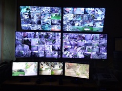 Система вывода видео информации с камер на общий монитор контроля